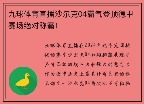 九球体育直播沙尔克04霸气登顶德甲赛场绝对称霸！